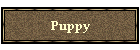 Puppy
